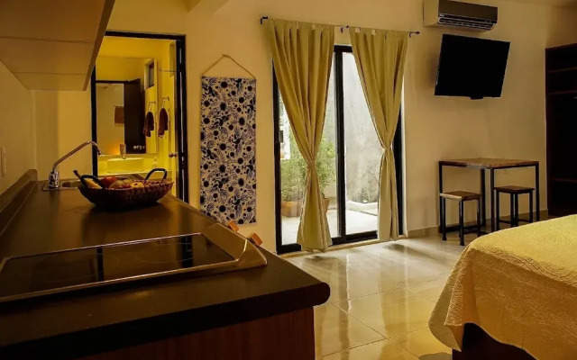 Stay Tropical Downtown Studios