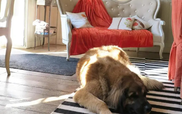 Gite Le Jardin Gustave