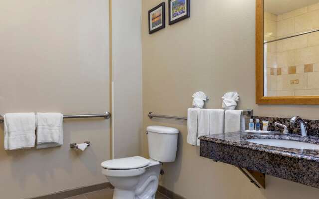 Comfort Suites Plano - Dallas North