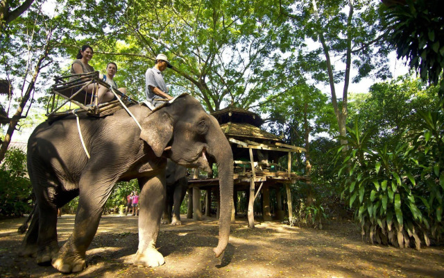 River Kwai Jungle Rafts