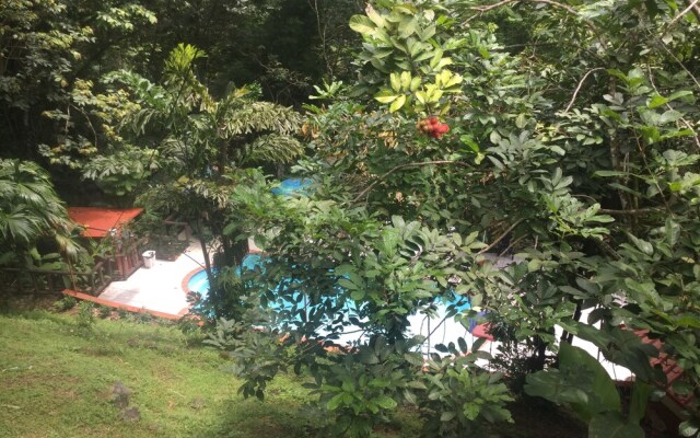Hotel Samsara