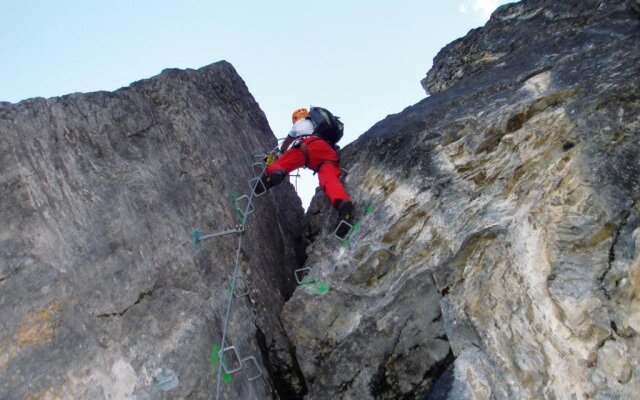Alpengasthof Enzianhof