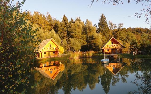 Apartments and wellness center Korošec