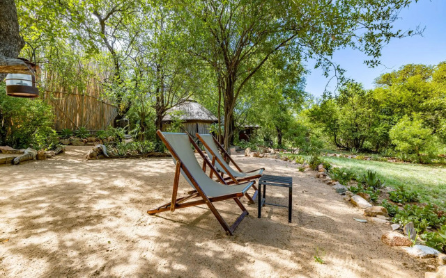 Umlani Bushcamp - Lodge