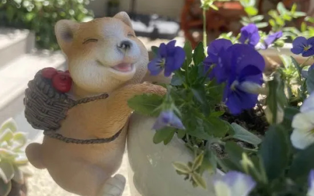 Sangu Maolu Homestay