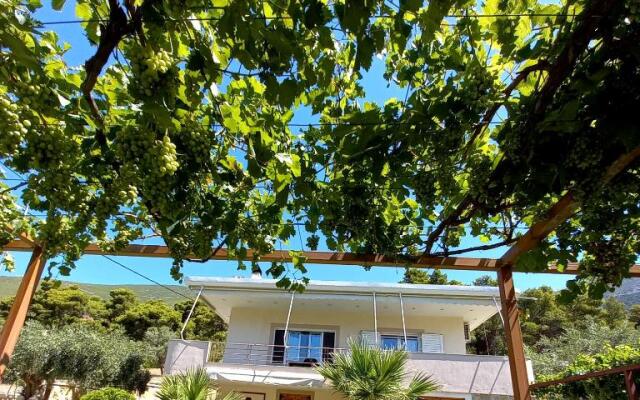 Relaxing Countryhouse beside the sea