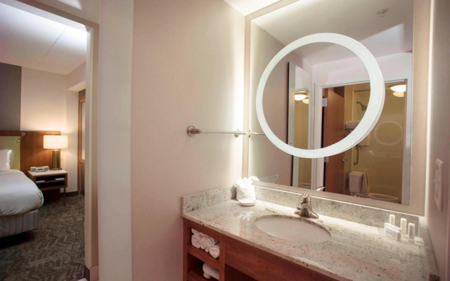 SpringHill Suites by Marriott Athens West