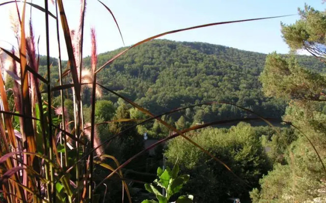 Buhl de Bonheur