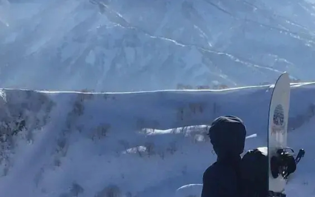 Myoko Forest Lodge - Hostel