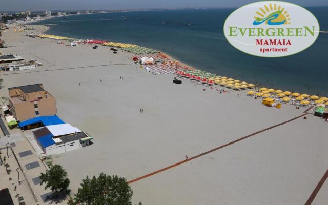 Evergreen Vlas Mamaia