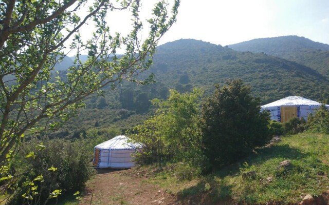 Yourte Nature Saint Roch