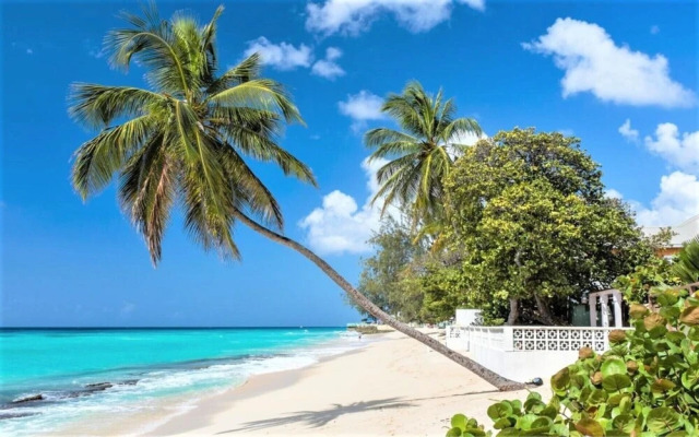 Sungazer - Holetown Apt & Beach Club on West Coast