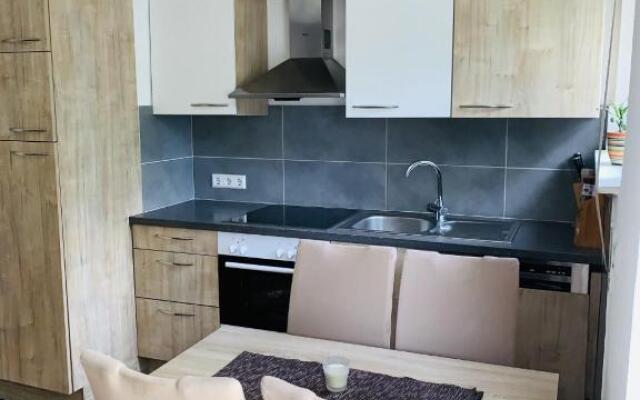 Drei Zimmer Apartment am Rhein