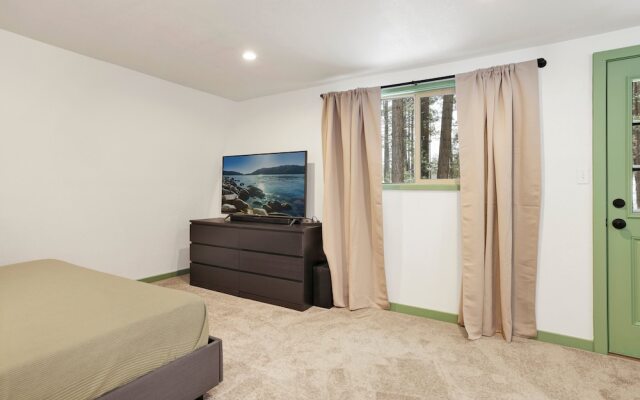 Midnight Pines #2424