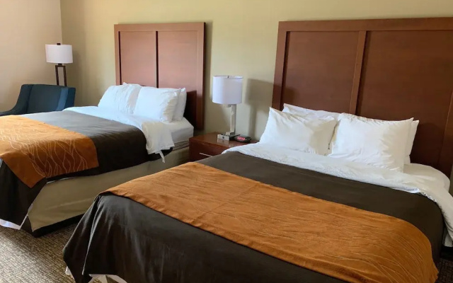 Comfort Inn Smithfield