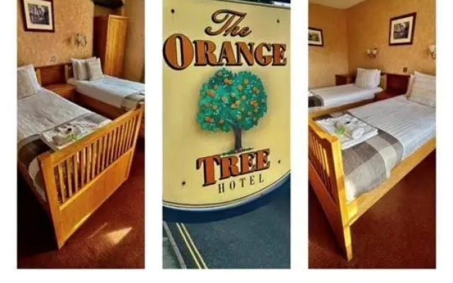 The Orange Tree