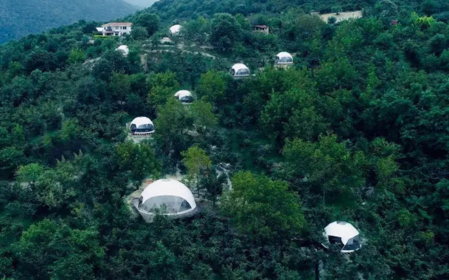 Phalesia Glamping Sapanca