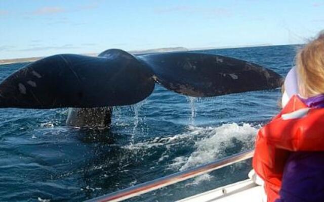 Residential Majada Apartments