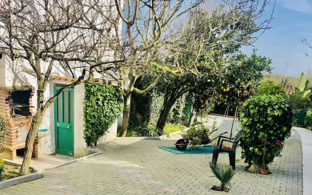 Casa de Vinha