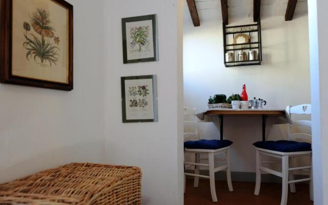 Acacia Firenze - Cosmea