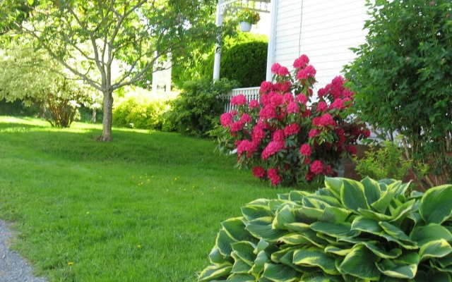 The Nelson House Bed & Breakfast