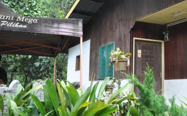 Tanak Nabalu Homestay