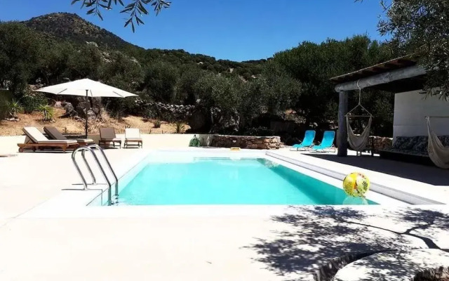 Flores Amarillas B&B