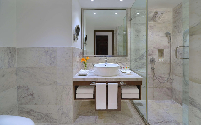 Radisson Hotel Agra