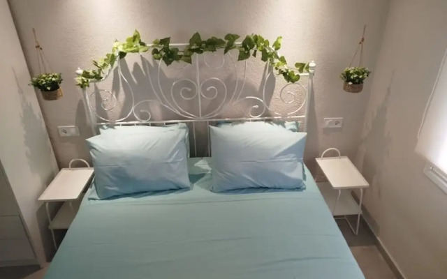 Liana s Stylish House