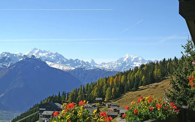 Wohnung 4 Bettmeralp