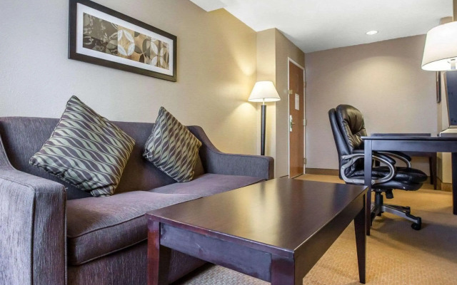 Comfort Inn & Suites near Tinley Park Amphitheater
