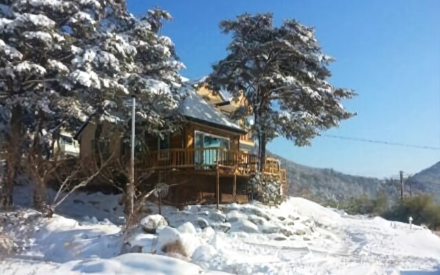 Gangneung Pine & Cinnamon Tree Pension