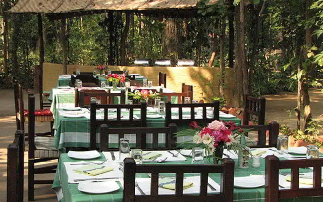 Kanha Jungle Lodge
