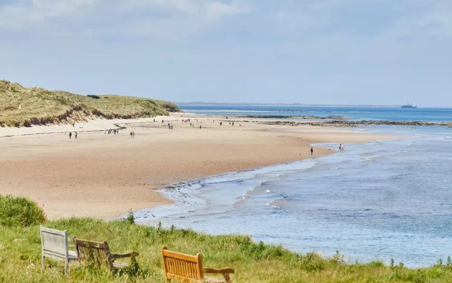 Host Stay The Puffins Nest