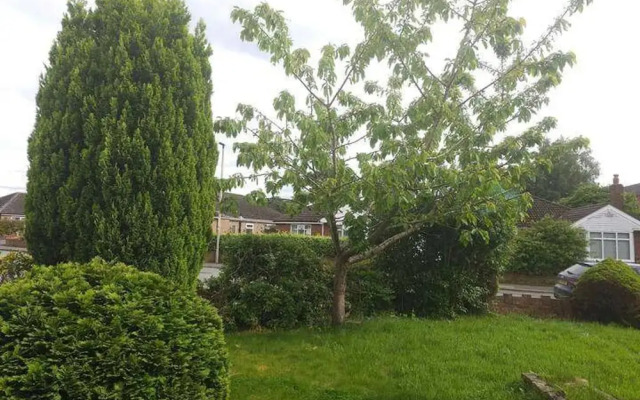 Pet Friendly - 2 Bedrooms - 4 Guests - Parking