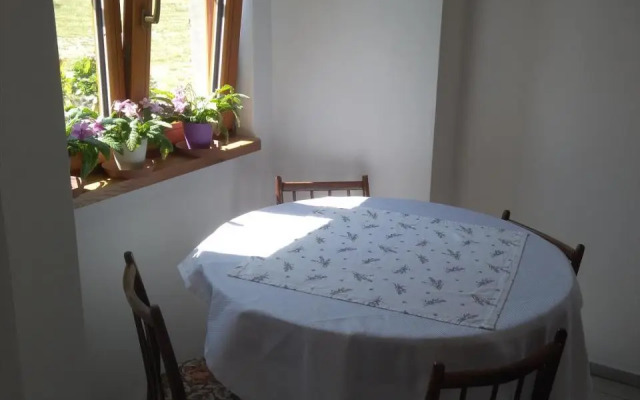 Dvůr v Borovné