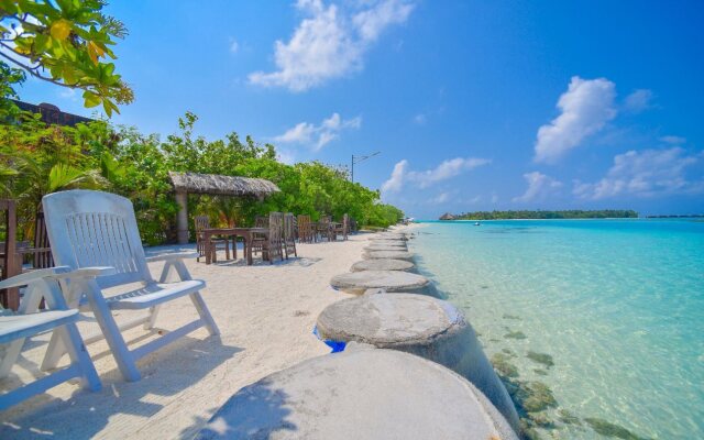 Rashu Hiyaa