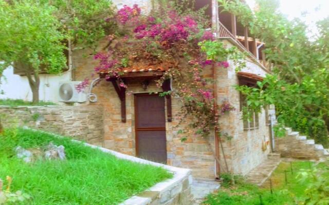 Margis studio