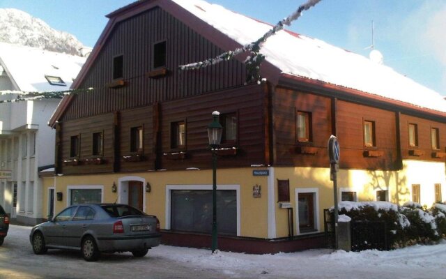 Apartment Steiner