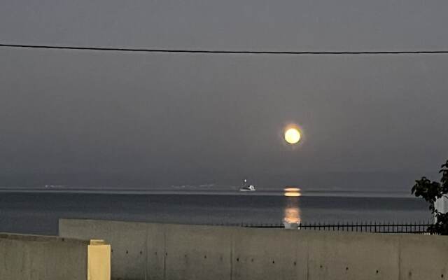 Balance Accommodation