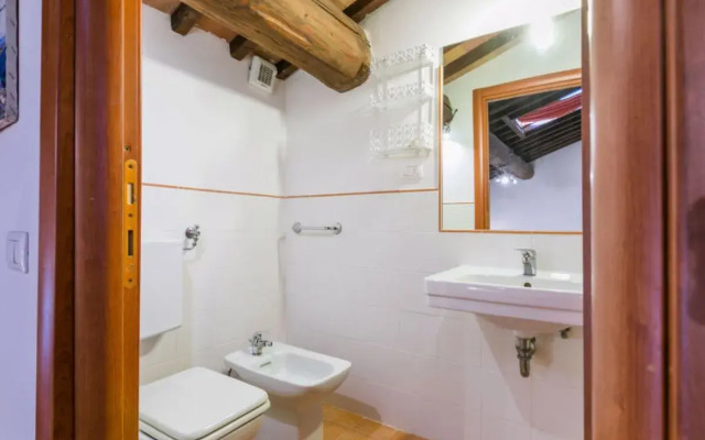 Giuggiolo - Giuggiolo 5 (PGG174)