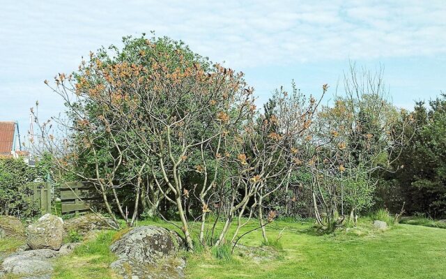 Spacious Holiday Home in Allinge Bornholm near Sea