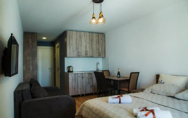 New Gudauri Loft II Apartment
