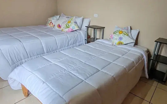 Hostel Coati Place Bed & Breakfast