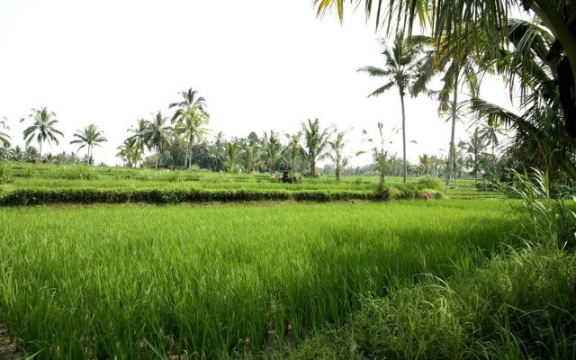 Villa Candi Kecil 1