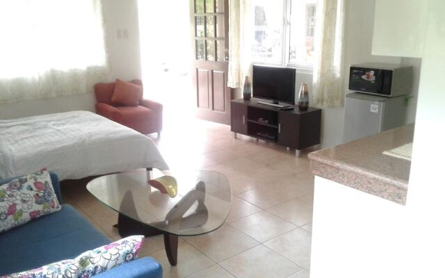 Alona Studio Bungalow