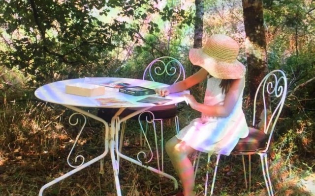 Wild Boar Mountain - France