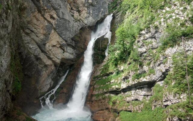 House Budkovic - Hostel