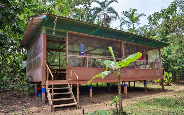 Amazon Canopy Expeditions Ecolodge