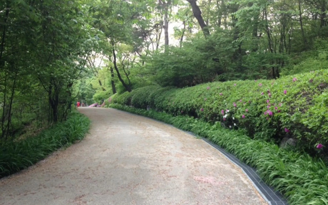 Pineville Home Single